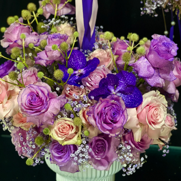 10.1 ¡POSITIVÍSMO Y ENERGIA PURA!