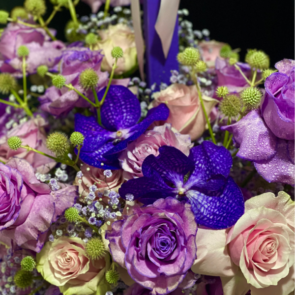 10.3 ¡POSITIVÍSMO Y ENERGIA PURA!