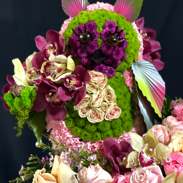 12.1 ESPERANZA DE PRIMAVERA