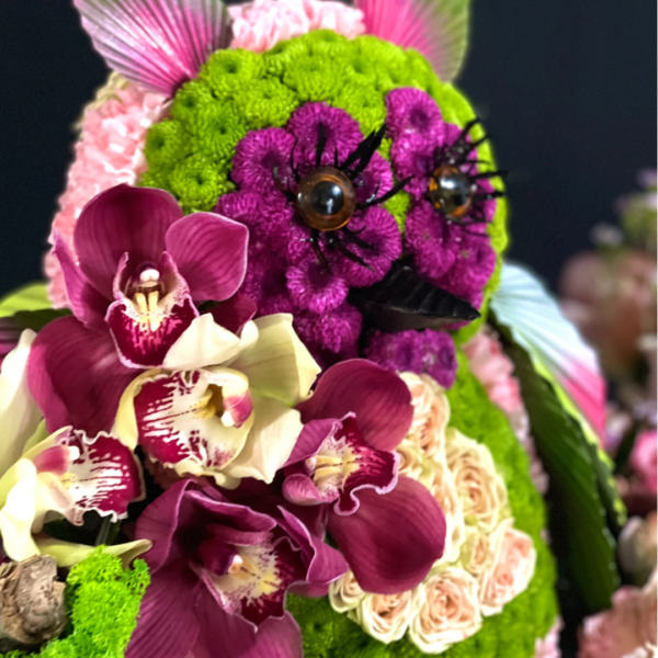 12.2 ESPERANZA DE PRIMAVERA