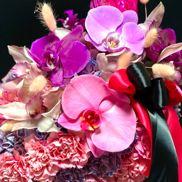 3.3 AMOR DE PRIMAVERA