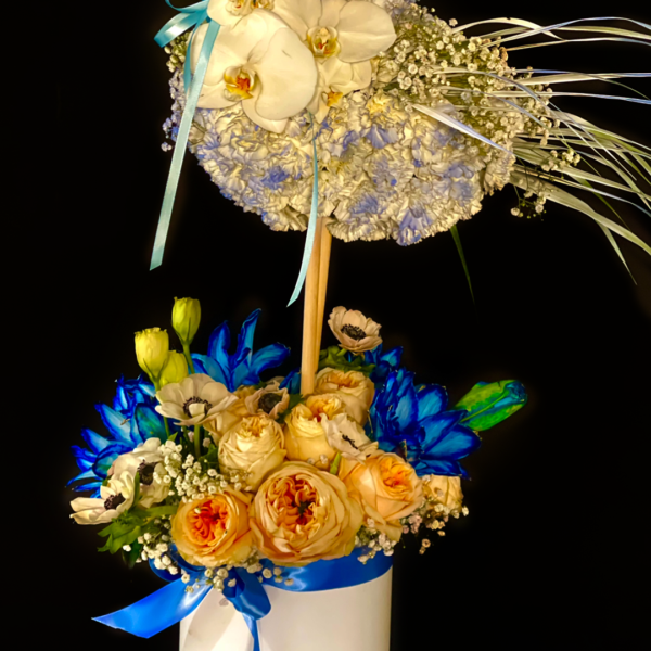 6.2 ME QUEDO CONTIGO