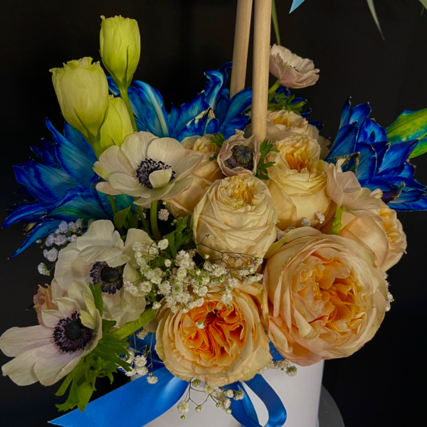 6.3 ME QUEDO CONTIGO