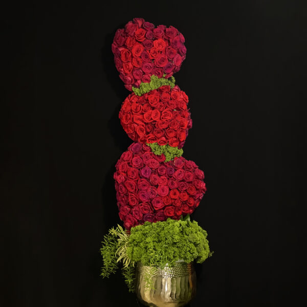 EL AMOR ESTÁ EN EL AIRE