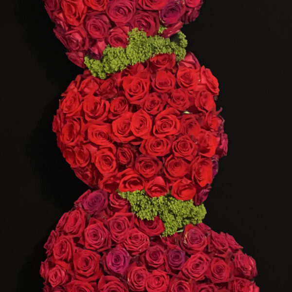 EL AMOR ESTÁ EN EL AIRE