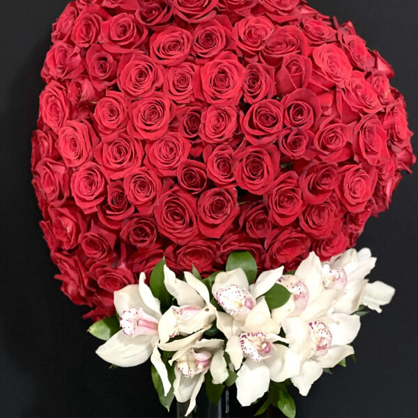 17.1 TE REGALO MI CORAZÓN