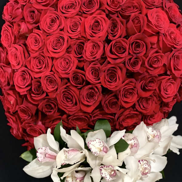 17.2 TE REGALO MI CORAZÓN