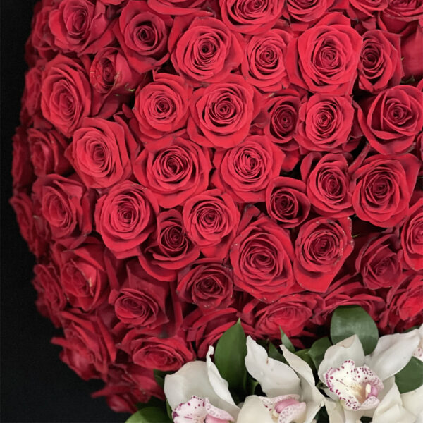 17.3 TE REGALO MI CORAZÓN