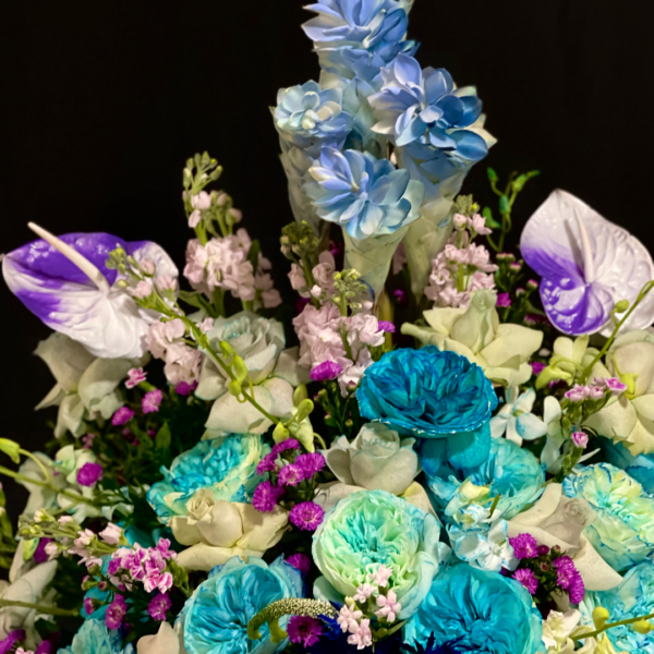 TU HACES MI MUNDO MÁS BONITO