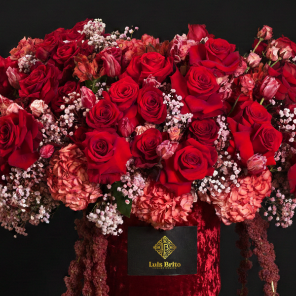 PASION DE TERCIOPELO