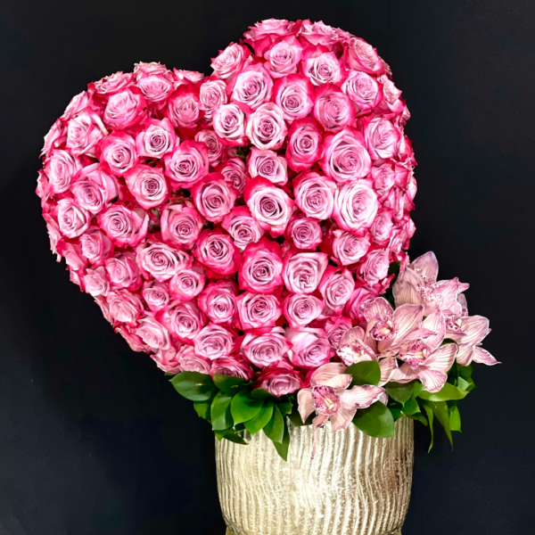 MOMENTOS DE FELICIDAD