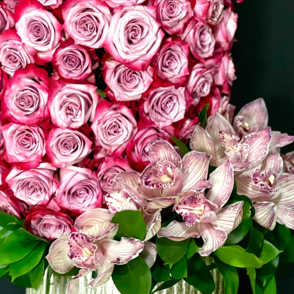 MOMENTOS DE FELICIDAD