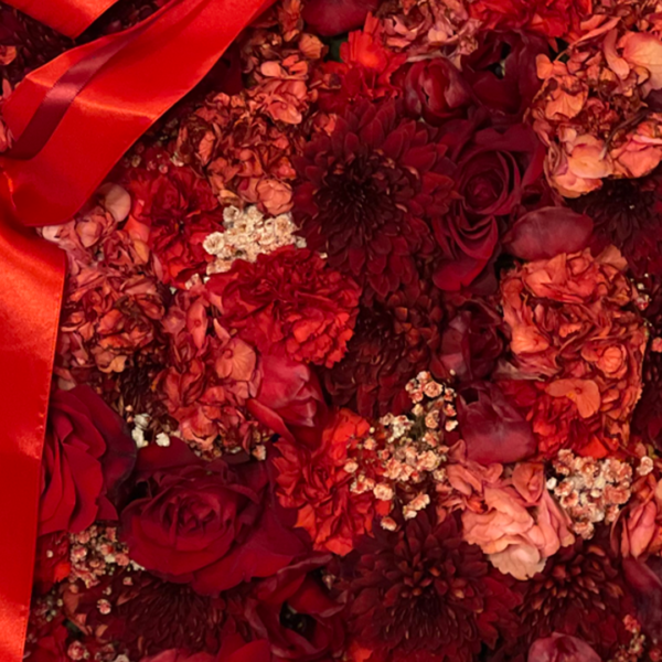 28.2 PASIÓN, TERNURA Y UN TOQUE DE MAGIA