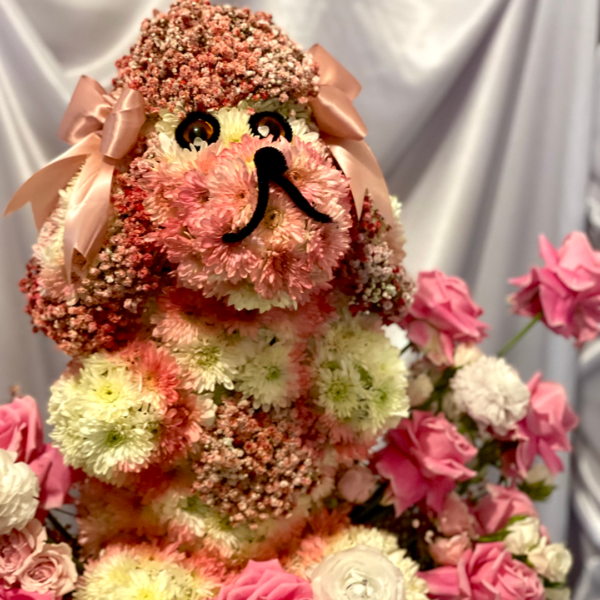 31.1 PERRITO DE SAN VALENTIN