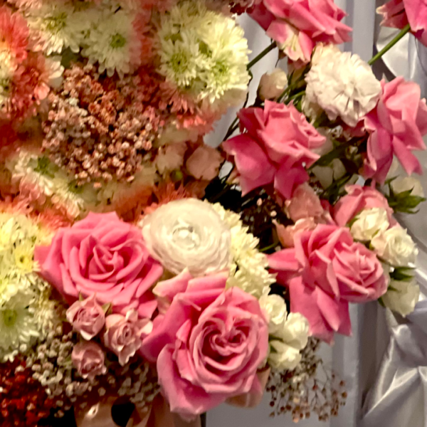 31.3 PERRITO DE SAN VALENTIN