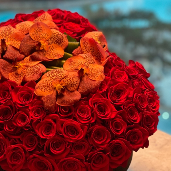 35.1 CORAZÓN DEL AMOR ROSAS & ORQUIDEAS