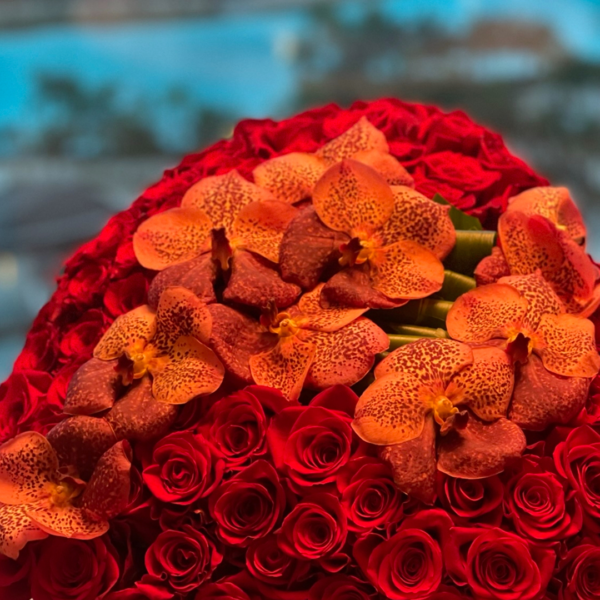 35.2 CORAZÓN DEL AMOR ROSAS & ORQUIDEAS