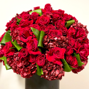 36 GRAN SAN VALENTINES