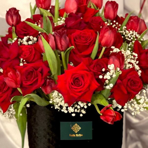 37.1 ENTRE TERCIOPELO