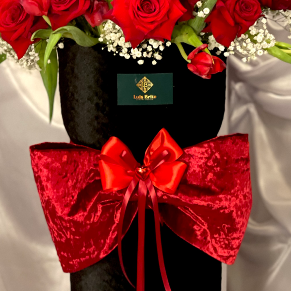 37.2 ENTRE TERCIOPELO