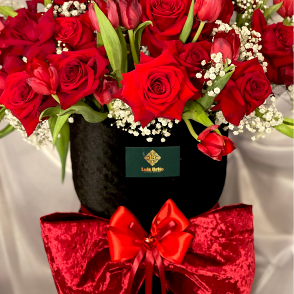 37.3 ENTRE TERCIOPELO